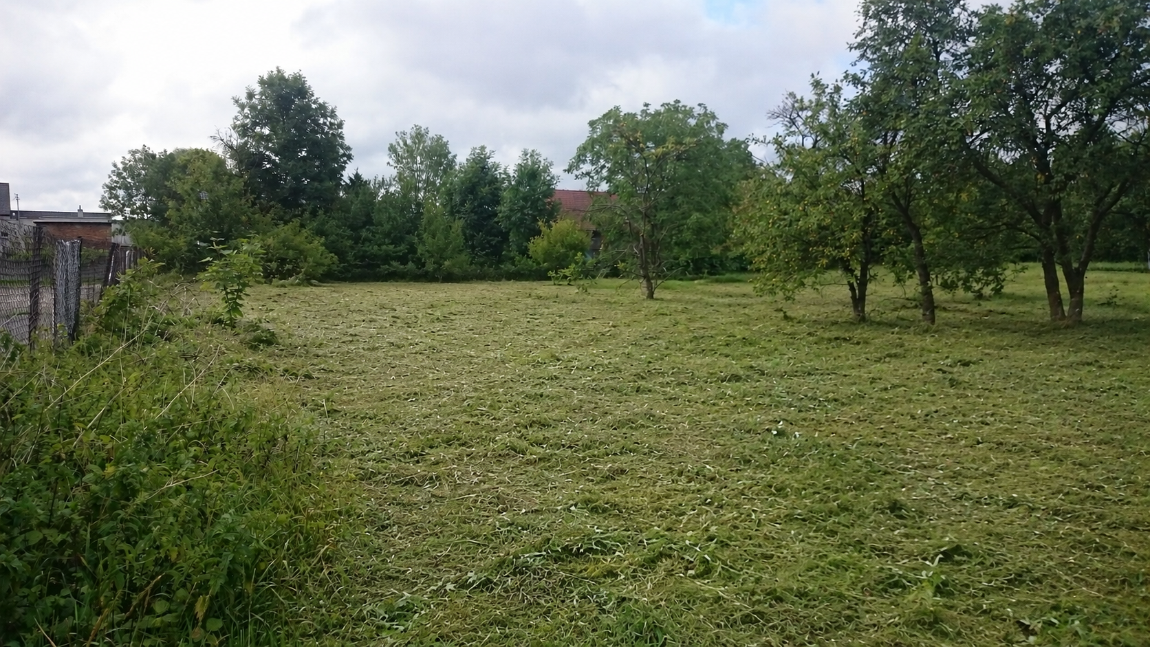 Teren po skoszeniu trawy